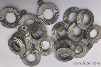 领导关怀促发展 广东省委、阳江市委领导莅临史特牢金属紧固件摩托车项目考察指导